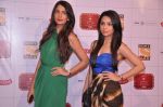 at Stardust Awards 2013 red carpet in Mumbai on 26th jan 2013 (449).JPG